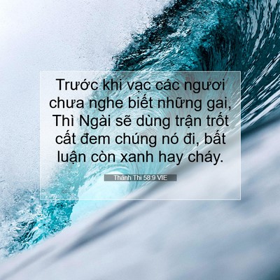 Picture 07 - Thánh Thi 58:9 VIE - Trước khi vạc các ngươi chưa nghe biết - Bible Verse Picture