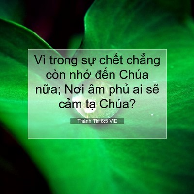 Picture 07 - Thánh Thi 6:5 VIE - Vì trong sự chết chẳng còn nhớ đến - Bible Verse Picture