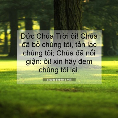 Picture 07 - Thánh Thi 60:1 VIE - Đức Chúa Trời ôi! Chúa đã bỏ chúng - Bible Verse Picture