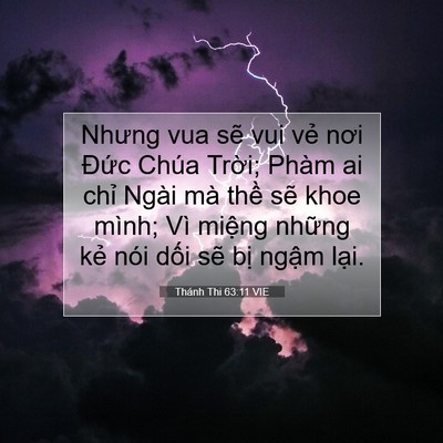 Picture 07 - Thánh Thi 63:11 VIE - Nhưng vua sẽ vui vẻ nơi Đức Chúa - Bible Verse Picture