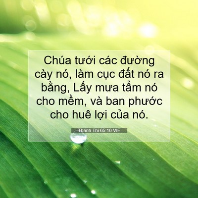 Picture 07 - Thánh Thi 65:10 VIE - Chúa tưới các đường cày nó, làm cục - Bible Verse Picture