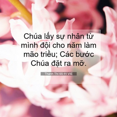 Picture 07 - Thánh Thi 65:11 VIE - Chúa lấy sự nhân từ mình đội cho năm - Bible Verse Picture