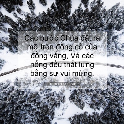 Picture 07 - Thánh Thi 65:12 VIE - Các bước Chúa đặt ra mỡ trên đồng - Bible Verse Picture