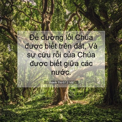 Picture 07 - Thánh Thi 67:2 VIE - Để đường lối Chúa được biết trên - Bible Verse Picture