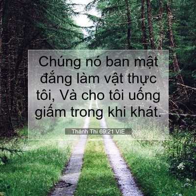 Picture 07 - Thánh Thi 69:21 VIE - Chúng nó ban mật đắng làm vật thực - Bible Verse Picture