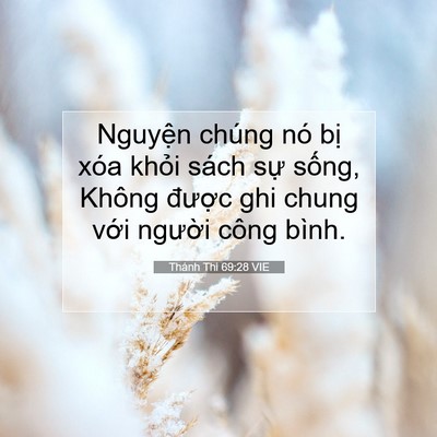 Picture 07 - Thánh Thi 69:28 VIE - Nguyện chúng nó bị xóa khỏi sách sự - Bible Verse Picture