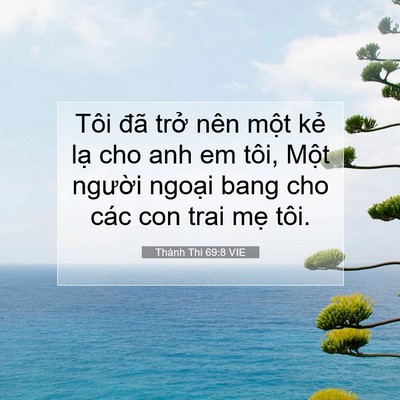 Picture 07 - Thánh Thi 69:8 VIE - Tôi đã trở nên một kẻ lạ cho anh em - Bible Verse Picture