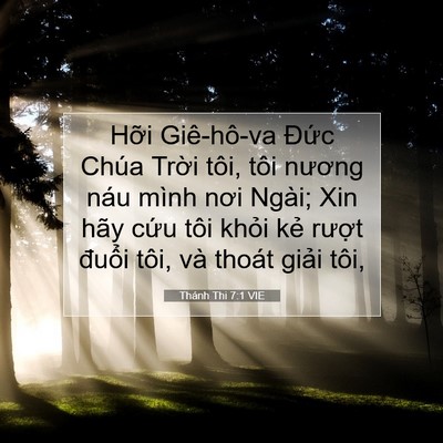 Picture 07 - Thánh Thi 7:1 VIE - Hỡi Giê-hô-va Đức Chúa Trời tôi, tôi - Bible Verse Picture
