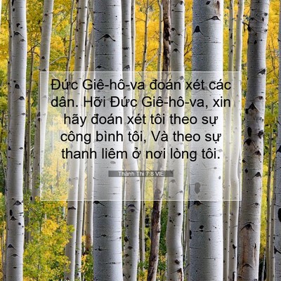 Picture 07 - Thánh Thi 7:8 VIE - Đức Giê-hô-va đoán xét các dân. Hỡi - Bible Verse Picture