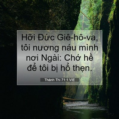 Picture 07 - Thánh Thi 71:1 VIE - Hỡi Đức Giê-hô-va, tôi nương náu mình - Bible Verse Picture