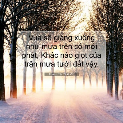 Picture 07 - Thánh Thi 72:6 VIE - Vua sẽ giáng xuống như mưa trên cỏ - Bible Verse Picture