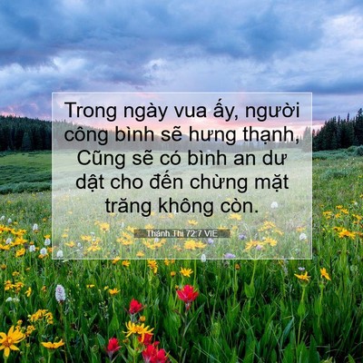 Picture 07 - Thánh Thi 72:7 VIE - Trong ngày vua ấy, người công bình sẽ - Bible Verse Picture