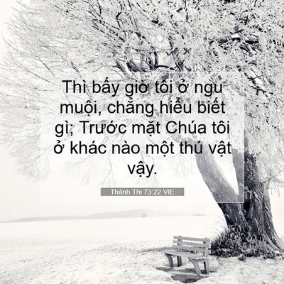 Picture 07 - Thánh Thi 73:22 VIE - Thì bấy giờ tôi ở ngu muội, chẳng - Bible Verse Picture
