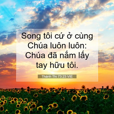 Picture 07 - Thánh Thi 73:23 VIE - Song tôi cứ ở cùng Chúa luôn luôn: Chúa - Bible Verse Picture