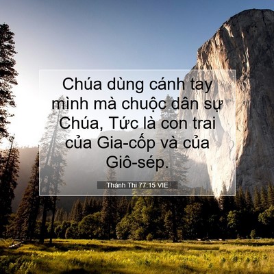 Picture 07 - Thánh Thi 77:15 VIE - Chúa dùng cánh tay mình mà chuộc dân sự - Bible Verse Picture