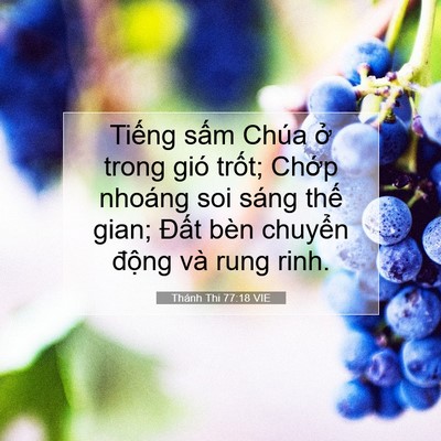Picture 07 - Thánh Thi 77:18 VIE - Tiếng sấm Chúa ở trong gió trốt; Chớp - Bible Verse Picture