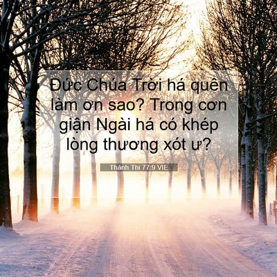 Picture 07 - Thánh Thi 77:9 VIE - Đức Chúa Trời há quên làm ơn sao? Trong - Bible Verse Picture