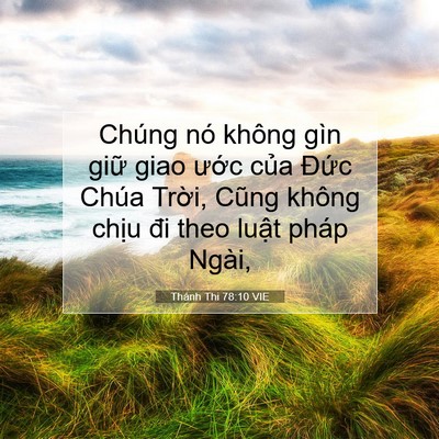 Picture 07 - Thánh Thi 78:10 VIE - Chúng nó không gìn giữ giao ước của - Bible Verse Picture