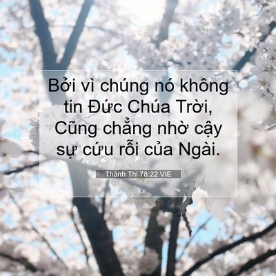 Picture 07 - Thánh Thi 78:22 VIE - Bởi vì chúng nó không tin Đức Chúa - Bible Verse Picture