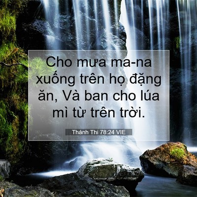 Picture 07 - Thánh Thi 78:24 VIE - Cho mưa ma-na xuống trên họ đặng ăn, - Bible Verse Picture