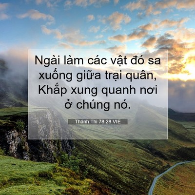 Picture 07 - Thánh Thi 78:28 VIE - Ngài làm các vật đó sa xuống giữa - Bible Verse Picture