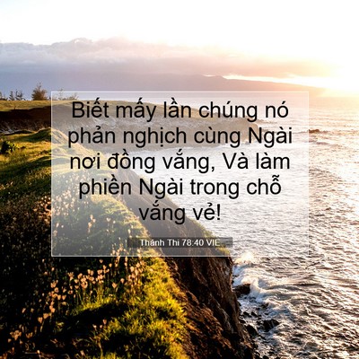Picture 07 - Thánh Thi 78:40 VIE - Biết mấy lần chúng nó phản nghịch - Bible Verse Picture