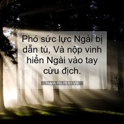Picture 07 - Thánh Thi 78:61 VIE - Phó sức lực Ngài bị dẫn tù, Và nộp - Bible Verse Picture