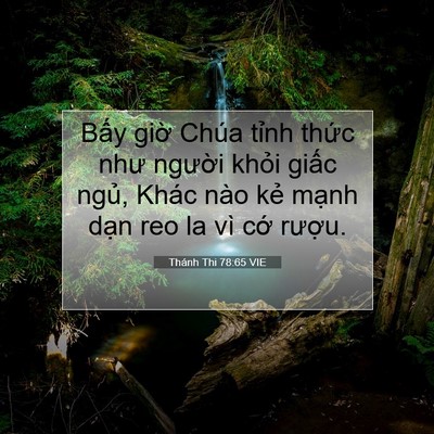Picture 07 - Thánh Thi 78:65 VIE - Bấy giờ Chúa tỉnh thức như người - Bible Verse Picture