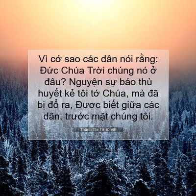 Picture 07 - Thánh Thi 79:10 VIE - Vì cớ sao các dân nói rằng: Đức Chúa - Bible Verse Picture