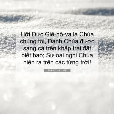 Picture 07 - Thánh Thi 8:1 VIE - Hỡi Đức Giê-hô-va là Chúa chúng tôi, - Bible Verse Picture