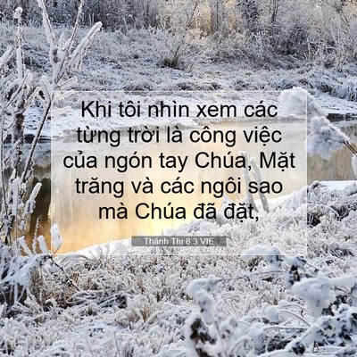 Picture 07 - Thánh Thi 8:3 VIE - Khi tôi nhìn xem các từng trời là công - Bible Verse Picture