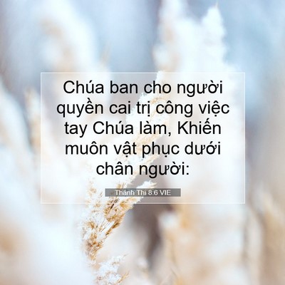 Picture 07 - Thánh Thi 8:6 VIE - Chúa ban cho người quyền cai trị công - Bible Verse Picture