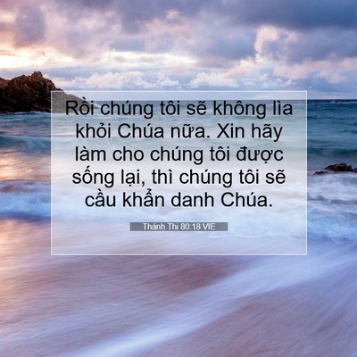 Picture 07 - Thánh Thi 80:18 VIE - Rồi chúng tôi sẽ không lìa khỏi Chúa - Bible Verse Picture
