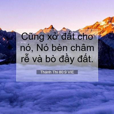 Picture 07 - Thánh Thi 80:9 VIE - Cũng xở đất cho nó, Nó bèn châm rễ - Bible Verse Picture