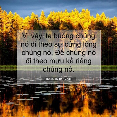 Picture 07 - Thánh Thi 81:12 VIE - Vì vậy, ta buông chúng nó đi theo sự - Bible Verse Picture