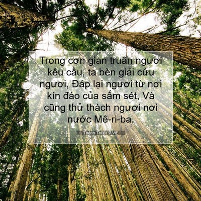 Picture 07 - Thánh Thi 81:7 VIE - Trong cơn gian truân ngươi kêu cầu, ta - Bible Verse Picture
