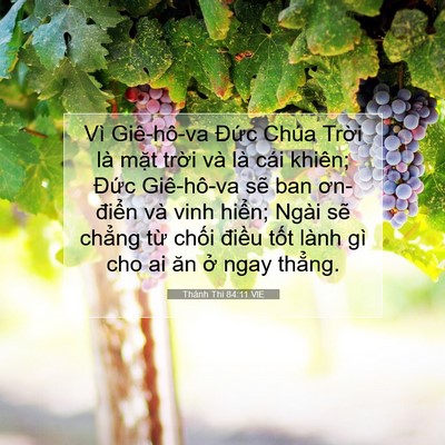 Picture 07 - Thánh Thi 84:11 VIE - Vì Giê-hô-va Đức Chúa Trời là mặt - Bible Verse Picture