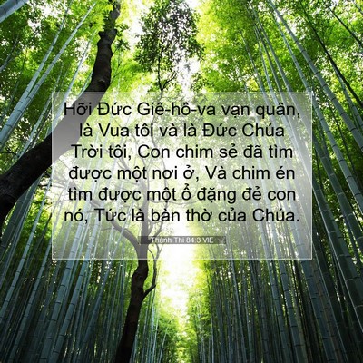 Picture 07 - Thánh Thi 84:3 VIE - Hỡi Đức Giê-hô-va vạn quân, là Vua - Bible Verse Picture