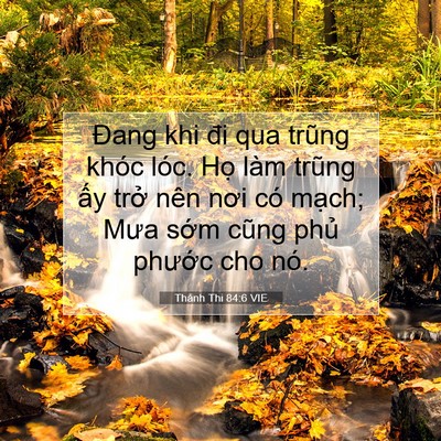 Picture 07 - Thánh Thi 84:6 VIE - Đang khi đi qua trũng khóc lóc. Họ làm - Bible Verse Picture