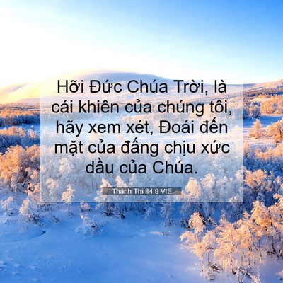 Picture 07 - Thánh Thi 84:9 VIE - Hỡi Đức Chúa Trời, là cái khiên của - Bible Verse Picture