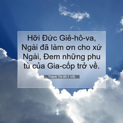 Picture 07 - Thánh Thi 85:1 VIE - Hỡi Đức Giê-hô-va, Ngài đã làm ơn cho - Bible Verse Picture