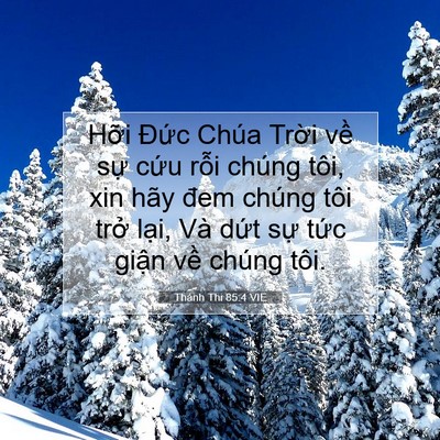 Picture 07 - Thánh Thi 85:4 VIE - Hỡi Đức Chúa Trời về sự cứu rỗi - Bible Verse Picture