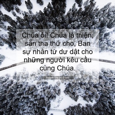 Picture 07 - Thánh Thi 86:5 VIE - Chúa ôi! Chúa là thiện, sẵn tha thứ - Bible Verse Picture