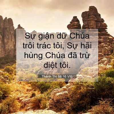 Picture 07 - Thánh Thi 88:16 VIE - Sự giận dữ Chúa trôi trác tôi, Sự - Bible Verse Picture