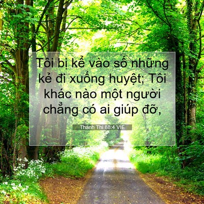 Picture 07 - Thánh Thi 88:4 VIE - Tôi bị kể vào số những kẻ đi xuống - Bible Verse Picture