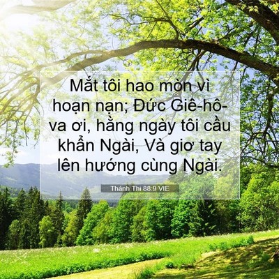 Picture 07 - Thánh Thi 88:9 VIE - Mắt tôi hao mòn vì hoạn nạn; Đức - Bible Verse Picture