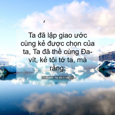 Picture 07 - Thánh Thi 89:3 VIE - Ta đã lập giao ước cùng kẻ được - Bible Verse Picture