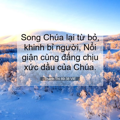 Picture 07 - Thánh Thi 89:38 VIE - Song Chúa lại từ bỏ, khinh bỉ người, - Bible Verse Picture