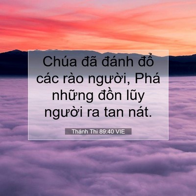 Picture 07 - Thánh Thi 89:40 VIE - Chúa đã đánh đổ các rào người, Phá - Bible Verse Picture