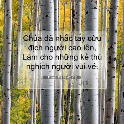 Picture 07 - Thánh Thi 89:42 VIE - Chúa đã nhắc tay cừu địch người cao - Bible Verse Picture